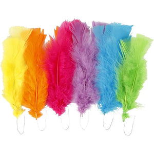 Feathers Assorted Colours 18 bundle