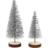 Christmas Spruce Trees