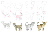 How to Draw: Kittens Book