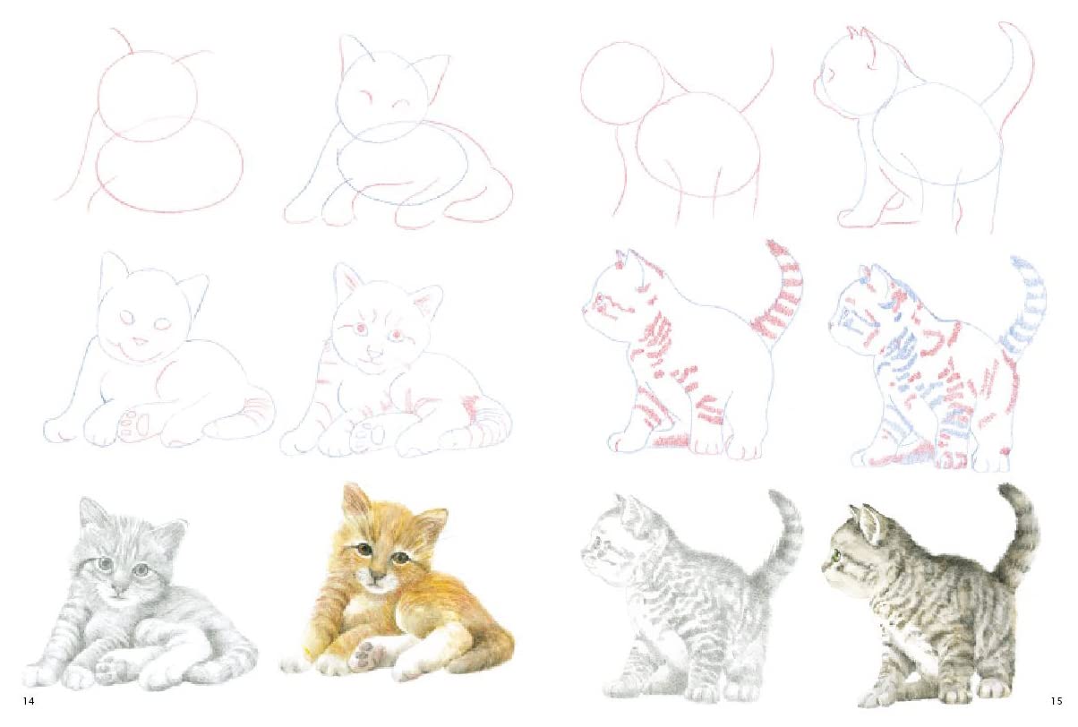 How to Draw: Kittens Book