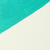 Liquitex Professional - White Gesso 946ml