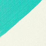 Liquitex Professional - Clear Gesso 473ml