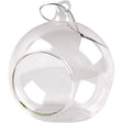 Glass Ornament with Opening