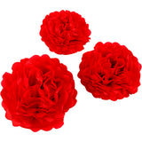 Tissue Pompons