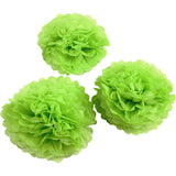 Tissue Pompons