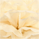 Tissue Pompons