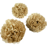 Tissue Pompons