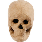 Skeleton