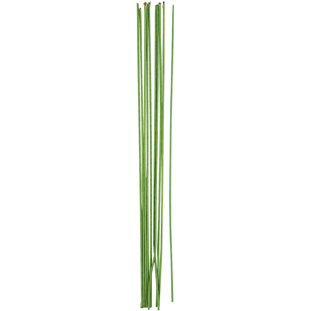 Floral stem wire