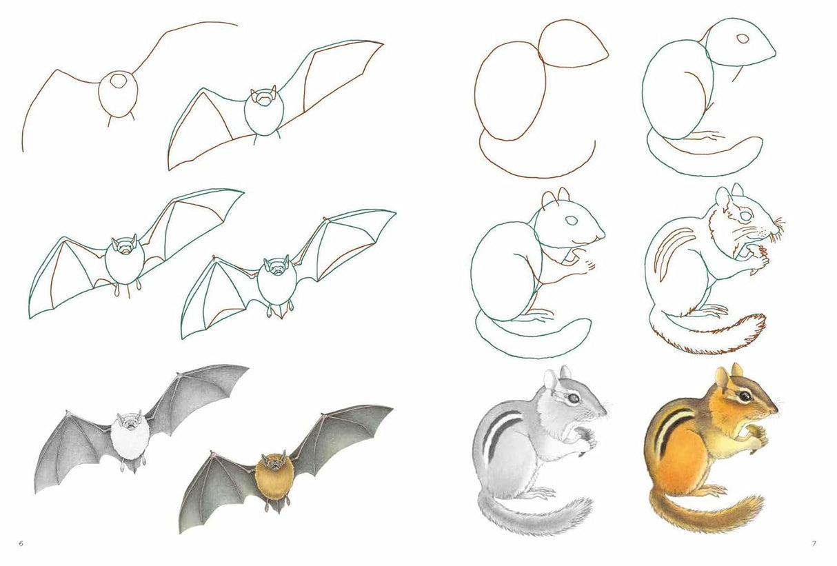 How to Draw: Nature Book