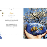 Painting Stones Book