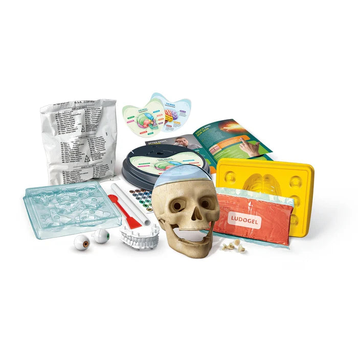 Science & Play - Crazy Anatomy