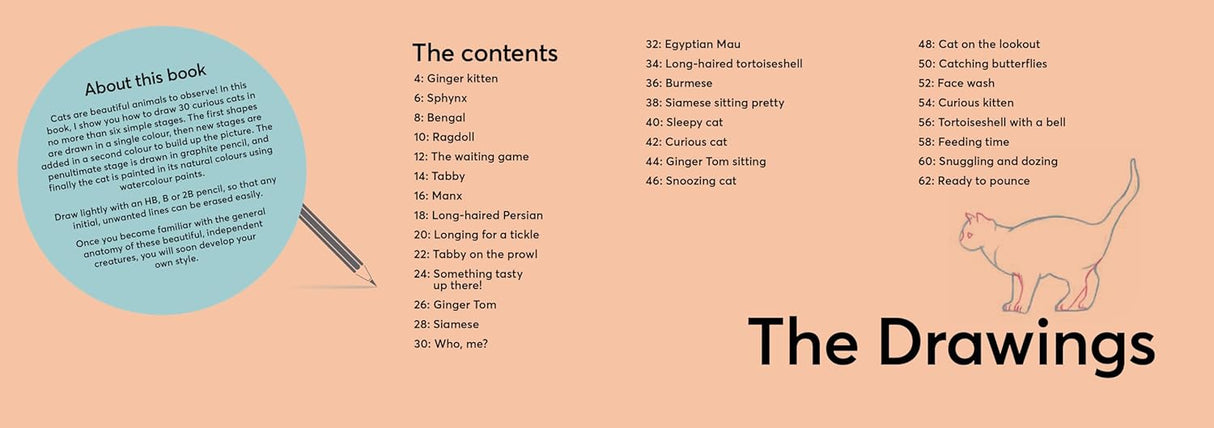 Draw 30: Cats Book