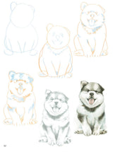 How to Draw: Puppies Book by Susie Hodge