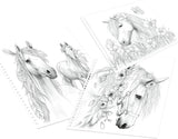 Miss Melody Special Colouring Book