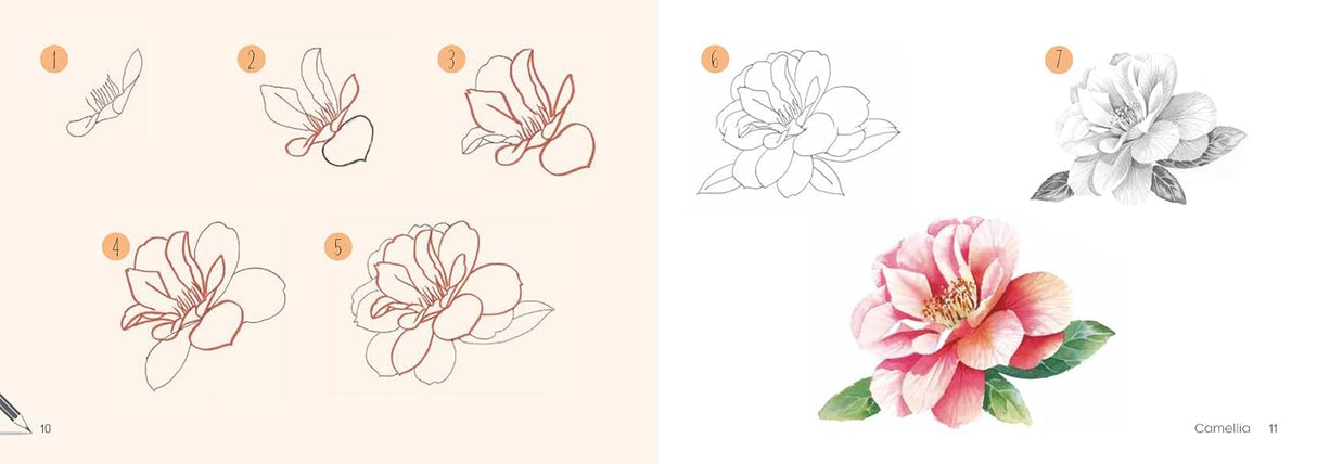 Draw 30: Flowers Book