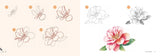 Draw 30: Flowers Book