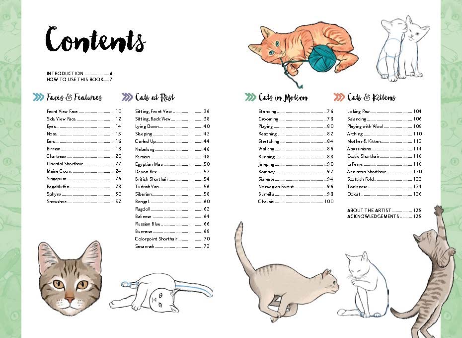 10 Step Drawing: Cats Book