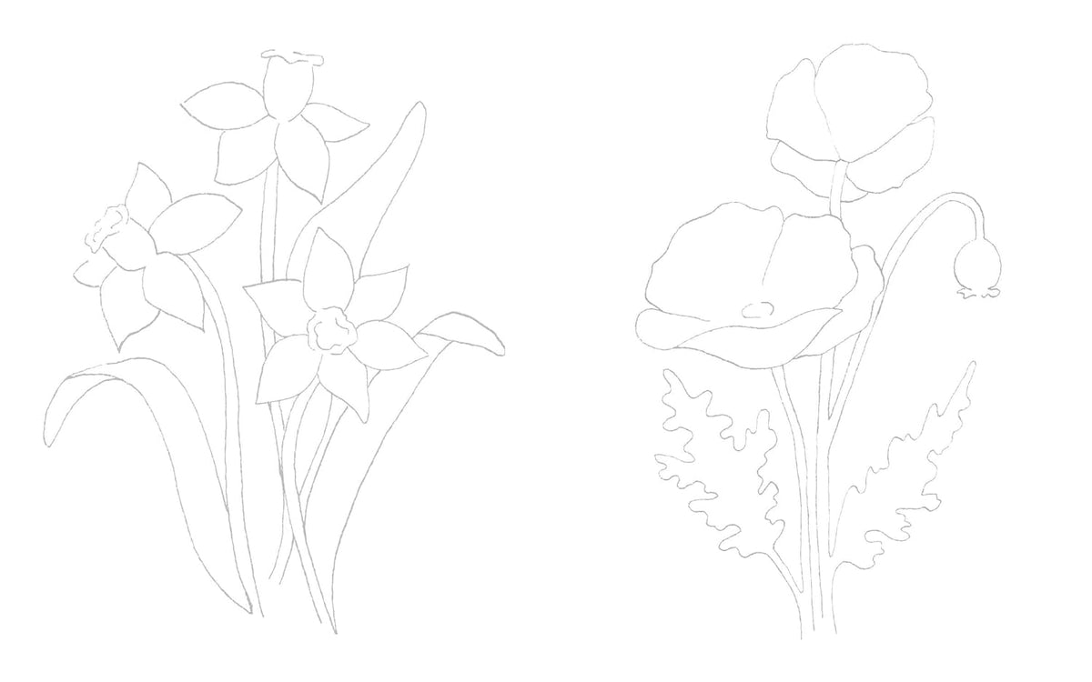 Birth Flowers In Watercolor Book