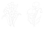 Birth Flowers In Watercolor Book