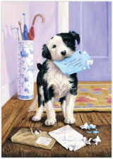 Paint By Numbers Junior Small - The Mail Menace