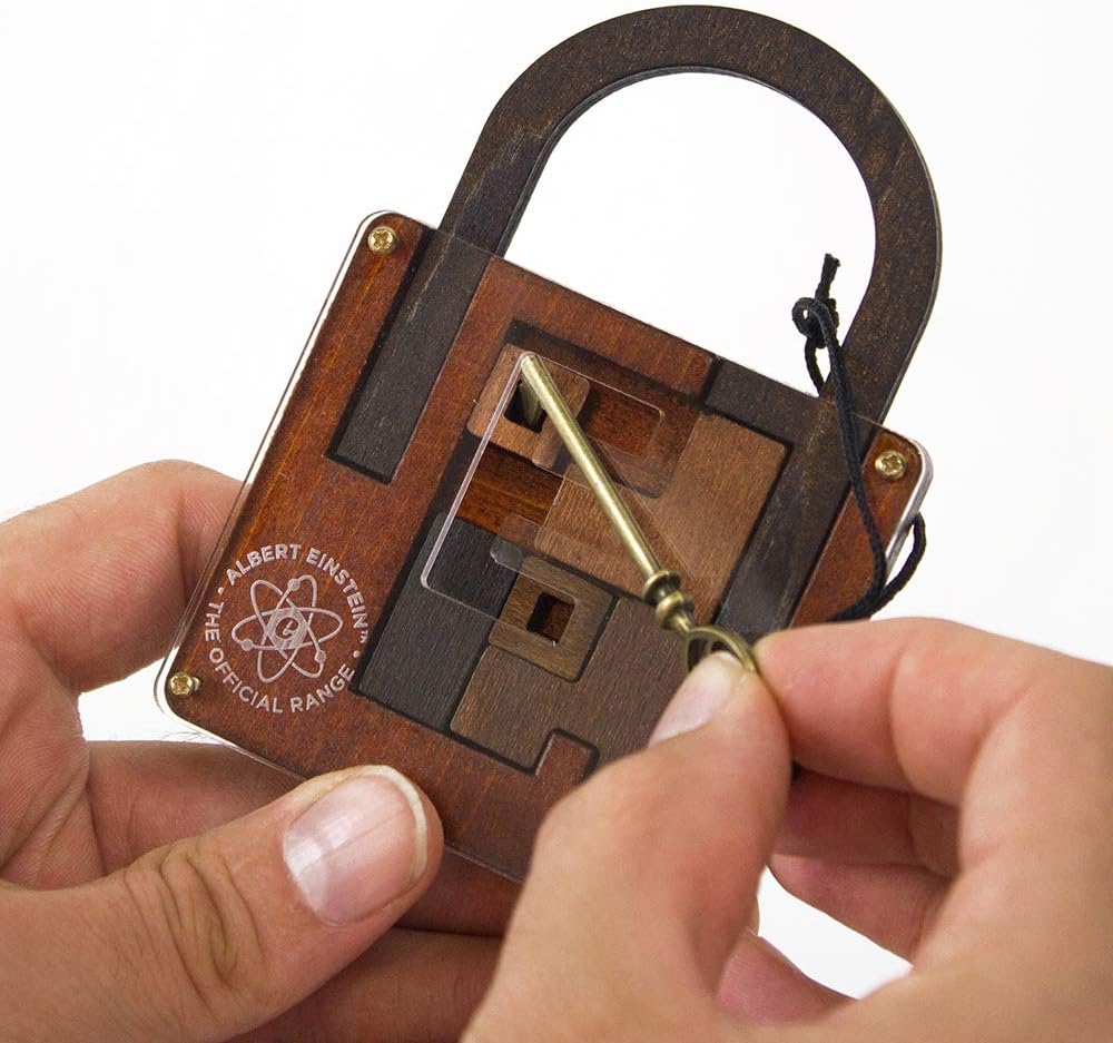 Professor Puzzle The Einstein Collection Lock Puzzle | Art & Hobby