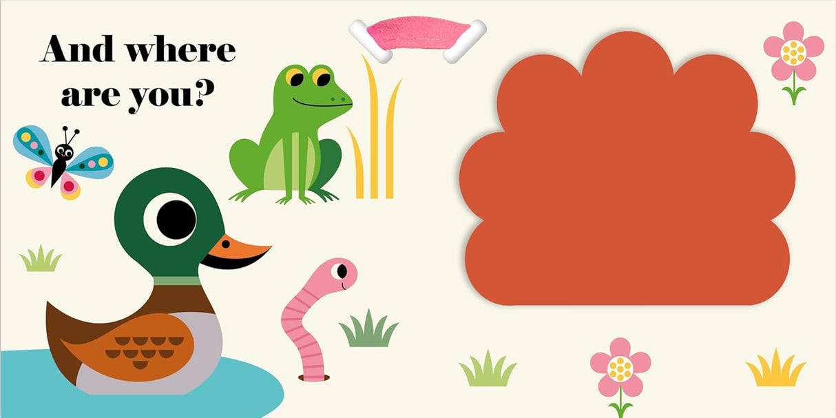 Where's Mr Duck? Buggy Book