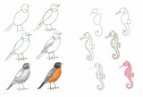 How to Draw: Nature Book