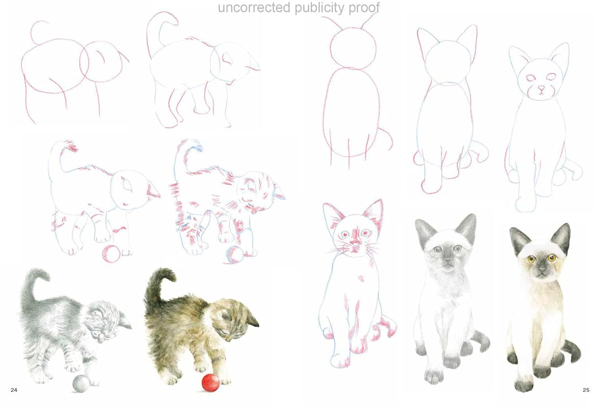 How to Draw: Kittens Book