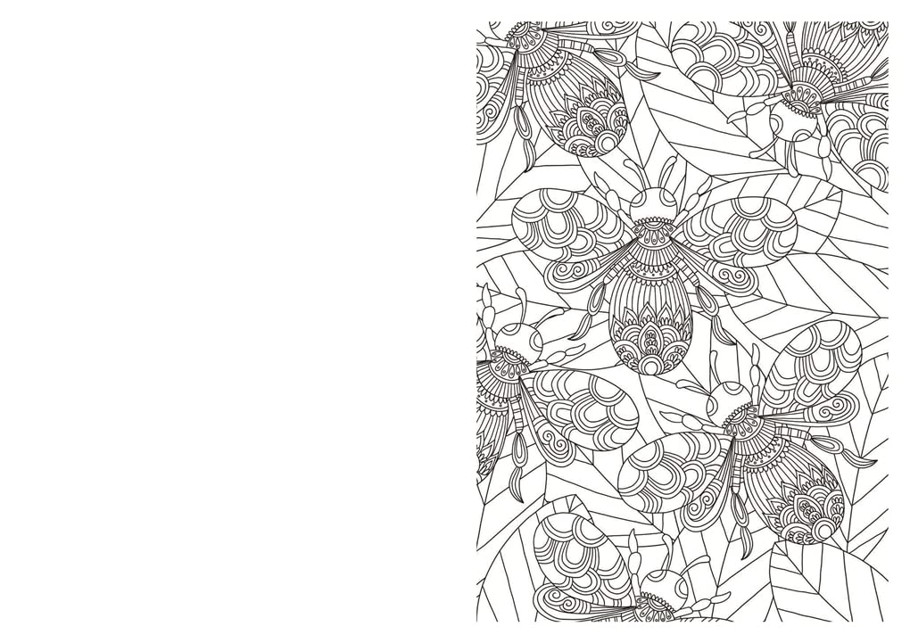 The Wellbeing Colouring Book - Energize
