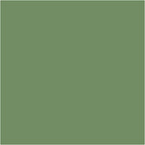 Outdoor Paint