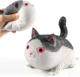 Squeezy Cats