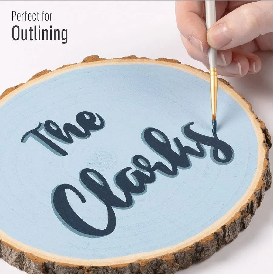 Folkart Brush Set - Artist Variety Set (10 Pcs)