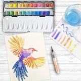 Zieler Metallic Half Pan Watercolour Paint Metal Tin (Set of 24)