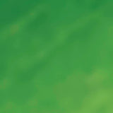 Textile Paint Mother of Pearl Opaque Brilliant Green