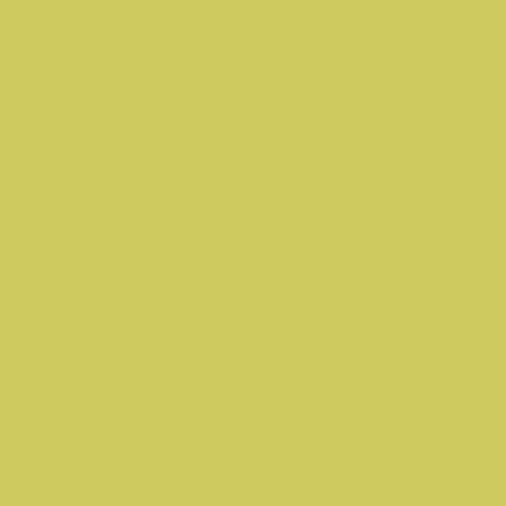Textile Paint Opaque Kiwi 50ml