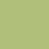 Chalkboard Paint - Lime Green 250ml
