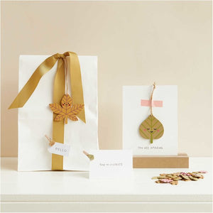 Ohhh! Lovely! Wooden clips leaves mix