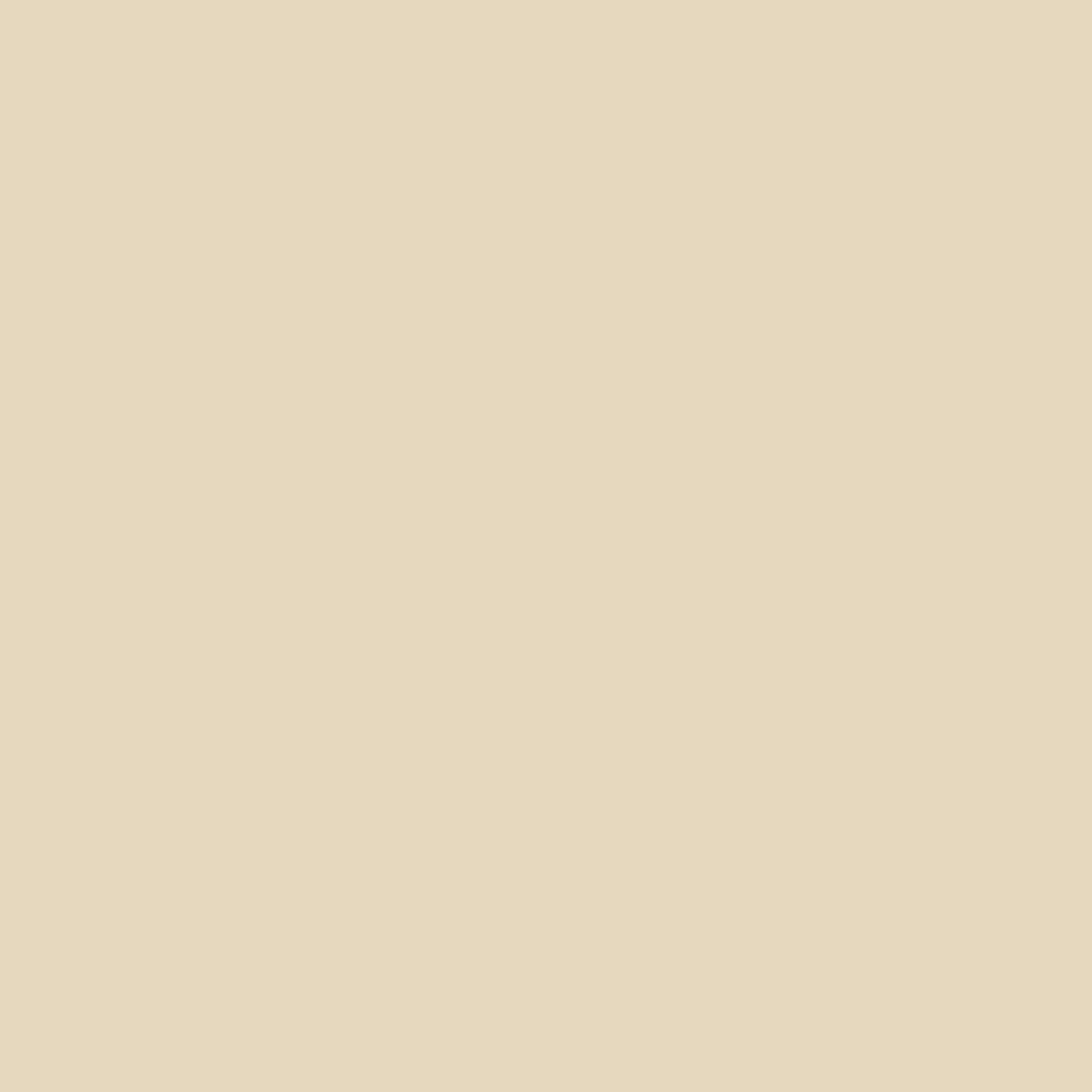 Outdoor Paint Silky Matte Opaque White 250ml