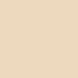 Outdoor Paint Silky Matte Opaque White 250ml