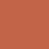 Outdoor Paint Silky Matte Opaque Antique Red 250ml