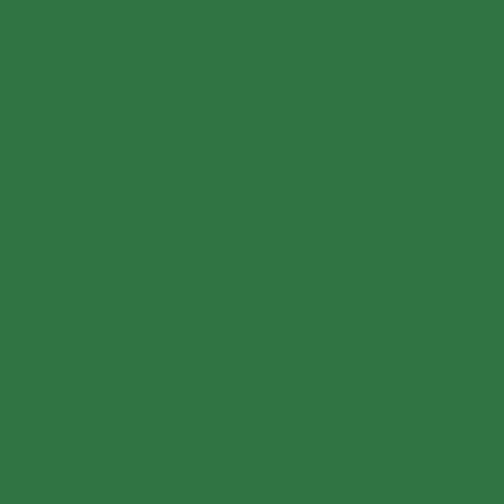 Outdoor Paint Silky Matte Opaque Green 250ml