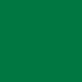 Outdoor Paint Silky Matte Opaque Green 250ml