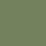 Outdoor Paint Silky Matte Opaque Olive 250ml