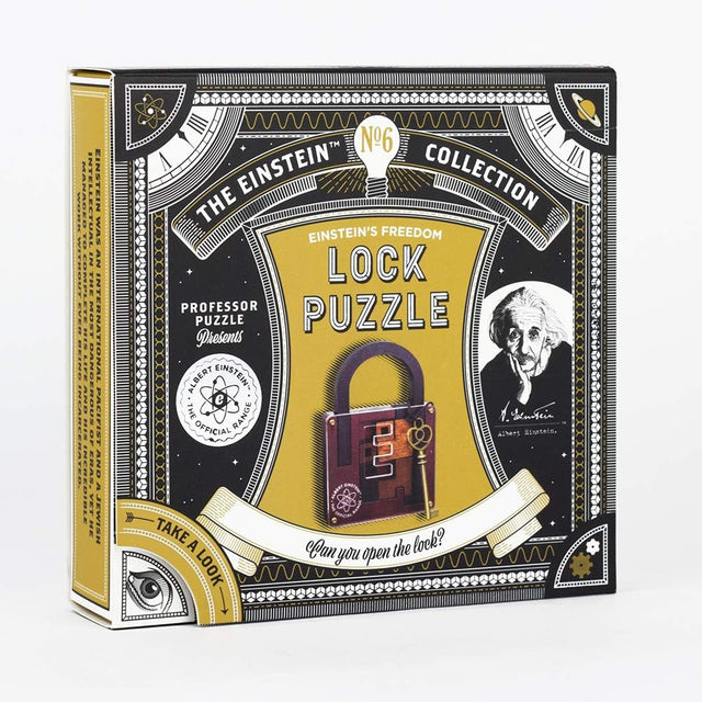 Professor Puzzle The Einstein Collection Lock Puzzle | Art & Hobby