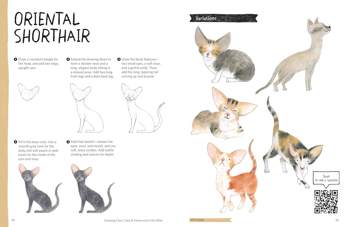 Drawing Class: Cats at Home and in the Wild Book