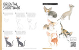 Drawing Class: Cats at Home and in the Wild Book
