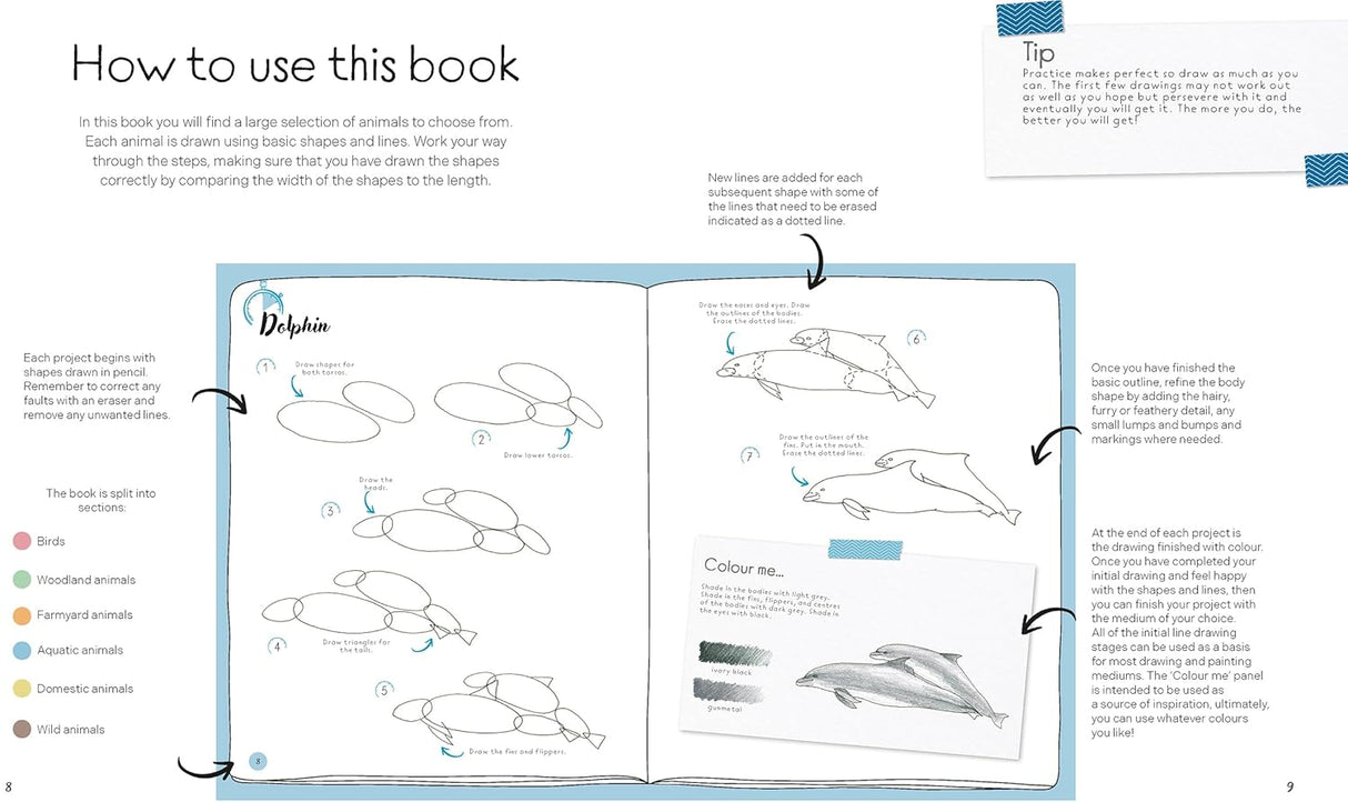 10-Minutes Sketching: Animals Book