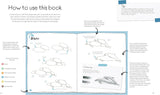 10-Minutes Sketching: Animals Book