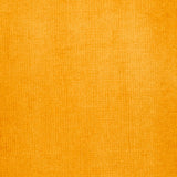Liquitex Acrylic Ink 30ml - Transparent Raw Sienna